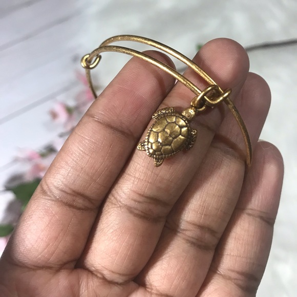 Alex and Ani turtle bracelet - Picture 2 of 5